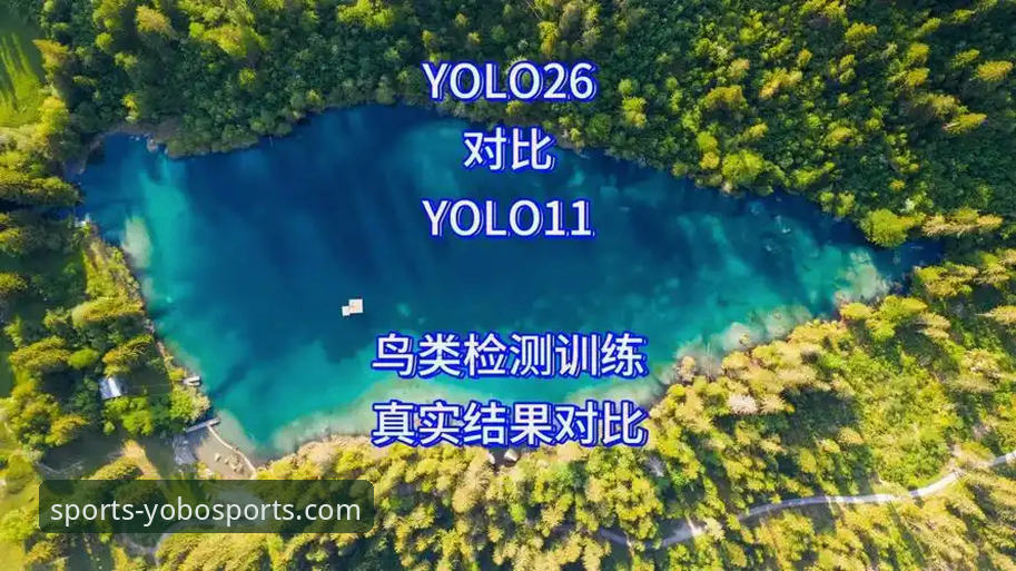yobo体育官网最新版下载 vs 旧版本：深度解析核心差异与真实体验